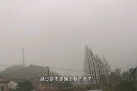 厨师小伙春节回家就这么难嘛？工作人员还没有找到。视频封面