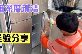 冰箱全面深度清洁，点子姐现场分享快速除冰方法，擦的真干净视频封面