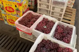 来南京众彩如何正确了解车厘子的大小规格型号颜色越黑的口感更好视频封面