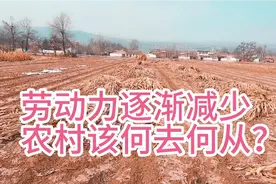 西北农村劳动力越来越少，年轻人外出务工，农村的未来何去何从？视频封面