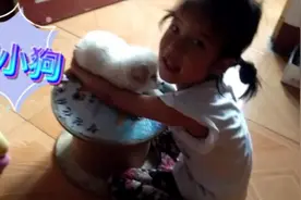 闺女中午睡醒了觉，就和小狗玩闹起来，玩着玩着闺女就不好好玩了