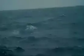 东海油气田，位于浙江舟山，距离陆地近200海里。中国石化胜利海视频封面