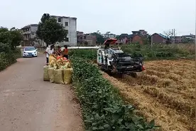 全国最先进的收割机，是怎样收割的…视频封面