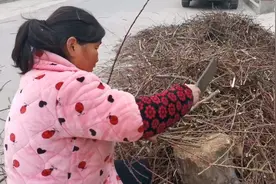 陕西咸阳农村女的在家干农活，这个活干的手疼。视频封面