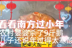 南方人过小年 农村婆婆杀了9斤多的鹅 ，儿子还说过的太寒酸了视频封面