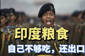 印度国土没中国的1/3大，为何能养活自己，粮食还能出口呢？