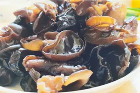 秋后要多吃木耳，开水一烫就能吃，简单美味又下酒，太过瘾