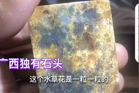 农村小哥捡石头，产自广西南流江玛瑙，天然独特花纹太美了
