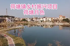 新晋网红打卡点——江门蓬江荷塘镇南村“荷塘月色”项目即将开放视频封面