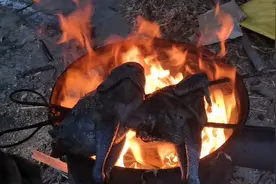 绿壳土鸡被啄屁股了，杀了来炖汤，你们那里鸡杀了用什么烧毛呢？视频封面