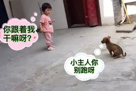 哥哥路边捡了个小狗回家，14个月萌宝看到狗狗超级兴奋，都好可爱视频封面