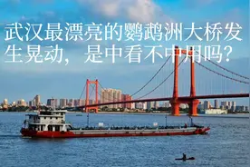 武汉最漂亮的鹦鹉洲大桥发生晃动，是中看不中用吗？视频封面