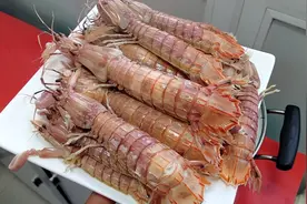 今天做个清蒸皮皮虾，味道鲜美原汁原味，去壳方法简单，建议收藏视频封面