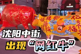沈阳中街春节新面貌，步行街出现大批“网红牛”，引很多游客围观视频封面