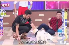 高以翔携爱犬上节目，帝欧和爸比一样慢热又可爱哦视频封面
