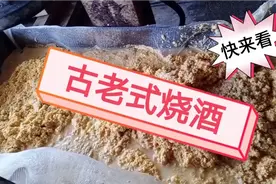 古老式烧酒保持了酒的浓香醇厚，品尝起来口感极佳视频封面