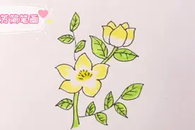 儿童美术简笔画，很漂亮的一朵茉莉花视频封面