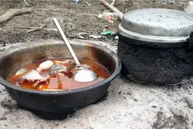 野钓江边金丝大鲤鱼，一边钓一边煮来吃，吃的就是一个鲜视频封面