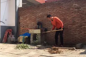 农家小院种了几年的竹子，竟然成了这般模样，悔不当初呀！视频封面