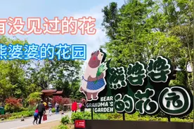 重庆熊婆婆的花园，赏花买花，看没见过的花，大家知道是什么花吗视频封面