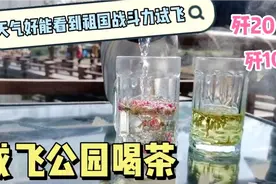 喝茶好去处！成都132飞机厂的公园！喝茶15一杯主要还可以看飞机视频封面