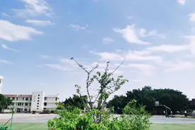 租客不能擅自改造、装修房屋，除非征得房东同意。视频封面