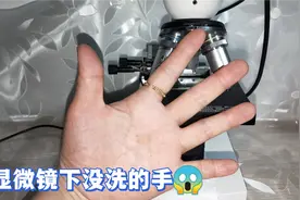宝妈出门一天回家没洗手，显微镜下看看有多少细菌？视频封面