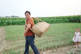 农村外地女婿帮丈母娘家洒农药，丈母娘表演背农具很搞笑！视频封面