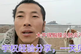 牛得胸膜炎肺炎，不要急，宇权自己亲身经验分享，一天见好视频封面