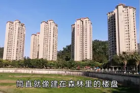 东莞楼盘，离深圳近，总价100万一套，沿河而建，感觉在森林里视频封面