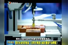 岳阳市社会各界热议《岳阳市推进大城市建设行动纲要》视频封面
