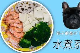 健康的水煮菜，狗子都没有食欲，这怎么吃下去？