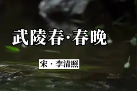 李清照《武陵春•春晚》：物是人非事事休，欲语泪先流。视频封面