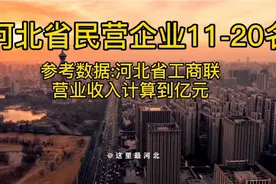 河北民营企业百强榜十一到二十名视频封面