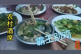 实拍农村办事儿摆大桌 十个菜两碗汤 经济实惠还美味视频封面
