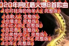 2020年网红最火爆的8首歌曲，完整版，歌声美妙动人，让你听到够