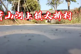 来看看萧山河上镇大桥村，河上第一村，富饶之村！企业生机勃勃！视频封面