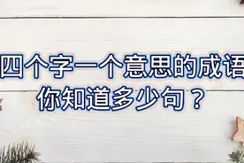四个字是同一个意思的成语，你能写的比我多吗，快来挑战试试吧视频封面