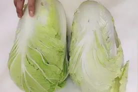 白菜买多难保存，30多年大厨教我一招，再也不怕冬天白菜涨价了视频封面