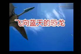 部编版语文四年级下册《飞向蓝天的恐龙》课文朗读视频封面