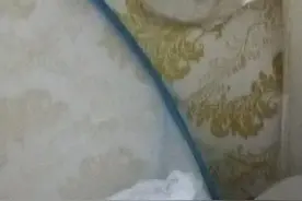 武汉疫情未消，病毒携带者蝙蝠却飞到家里来。心生恐慌！视频封面