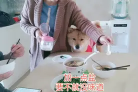 80号后夫妻相恋9年结婚五年，还没有自己宝宝  把秋田当闺女养视频封面