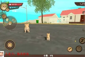 小猫生存第8期 猫咪带猫宝宝去打狗狗视频封面