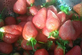 买了3斤草莓，15一斤，洗过以后全烂掉，里面到底放了什么东西。视频封面