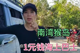 1元钱坐海上巴士穿越疍家鱼排，猴岛去新村镇市场买海鲜，新鲜视频封面