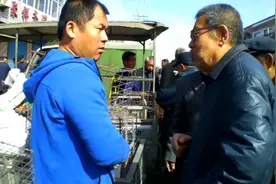 鸽市上鸽友带来几只极品赛鸽却光让看不卖，这是咋回事？视频封面