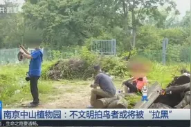 南京中山植物园：违背自然摄影基本伦理的拍鸟者将被“拉黑”！视频封面