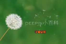 deepin系统字体 wine字体安装方法视频封面