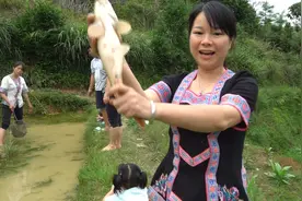 烧烤鲤鱼要怎么做？秋子现抓现烤，只用一根木棍就做出最美田野味视频封面