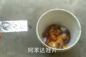 给狗狗定时打虫也讲究，用这种药基本无忧狗拉出屎一看就知健康不视频封面
